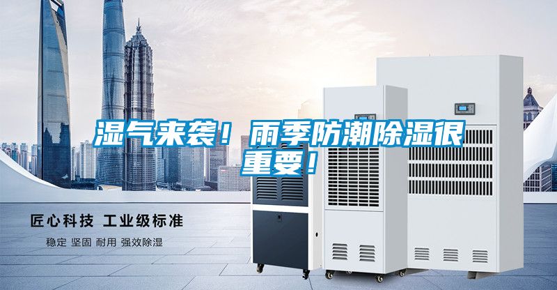 濕氣來襲！雨季防潮除濕很重要！