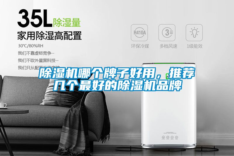 除濕機(jī)哪個(gè)牌子好用，推薦幾個(gè)最好的除濕機(jī)品牌
