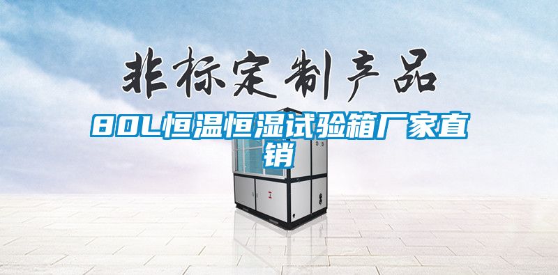 80L恒溫恒濕試驗(yàn)箱廠家直銷(xiāo)