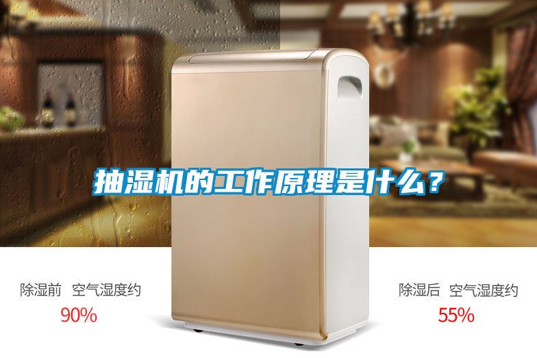 抽濕機的工作原理是什么？