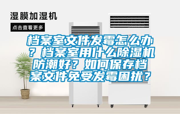 檔案室文件發(fā)霉怎么辦？檔案室用什么除濕機(jī)防潮好？如何保存檔案文件免受發(fā)霉困擾？