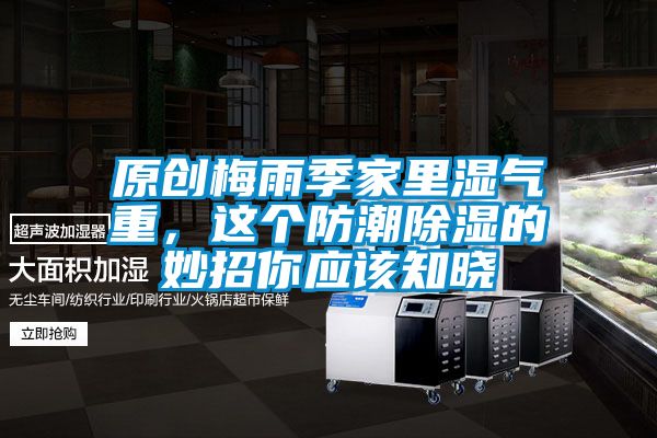 原創(chuàng)梅雨季家里濕氣重，這個防潮除濕的妙招你應(yīng)該知曉