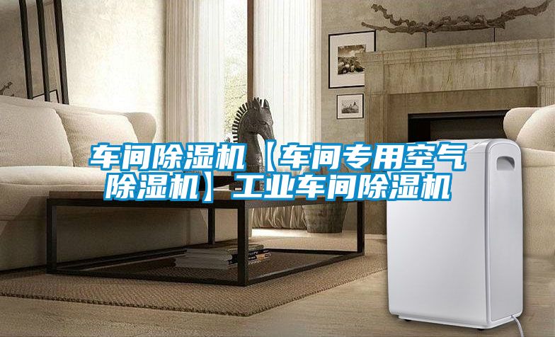 車(chē)間除濕機(jī)【車(chē)間專(zhuān)用空氣除濕機(jī)】工業(yè)車(chē)間除濕機(jī)