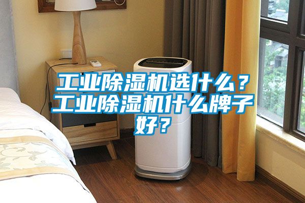 工業(yè)除濕機(jī)選什么？工業(yè)除濕機(jī)什么牌子好？