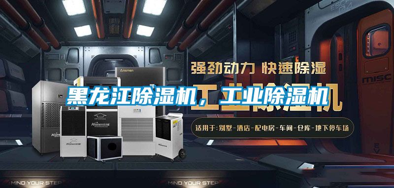 黑龍江除濕機(jī)，工業(yè)除濕機(jī)