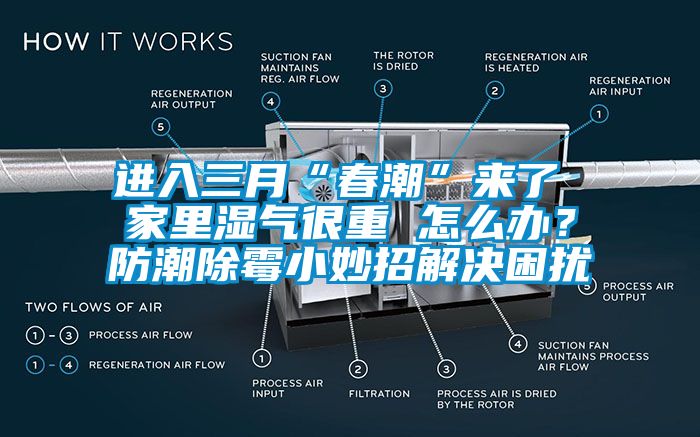 進(jìn)入三月“春潮”來了 家里濕氣很重 怎么辦？防潮除霉小妙招解決困擾