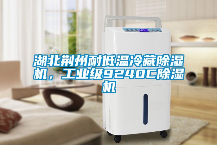 湖北荊州耐低溫冷藏除濕機，工業(yè)級9240C除濕機