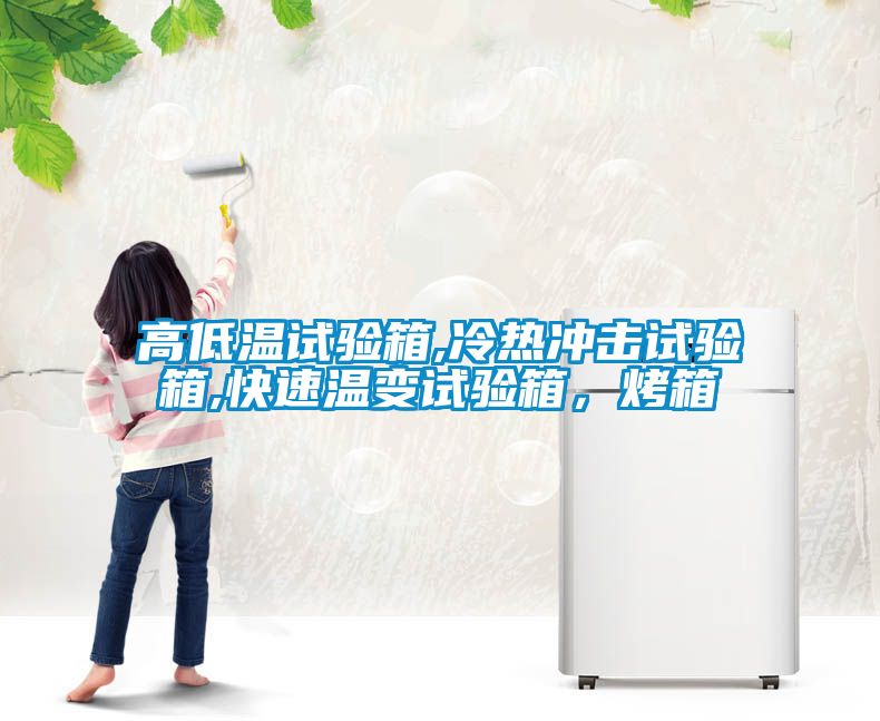 高低溫試驗(yàn)箱,冷熱沖擊試驗(yàn)箱,快速溫變?cè)囼?yàn)箱，烤箱