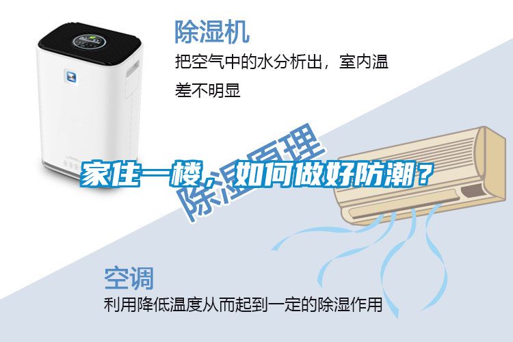 家住一樓，如何做好防潮？