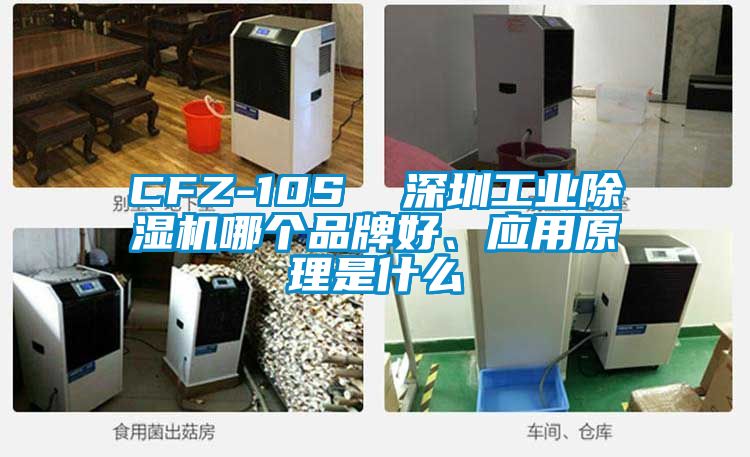 CFZ-10S  深圳工業(yè)除濕機哪個品牌好、應用原理是什么