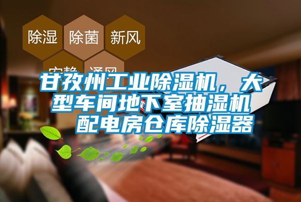 甘孜州工業(yè)除濕機(jī)，大型車(chē)間地下室抽濕機(jī)  配電房倉(cāng)庫(kù)除濕器