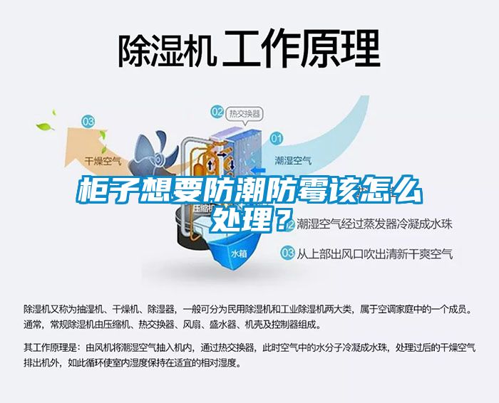 柜子想要防潮防霉該怎么處理？